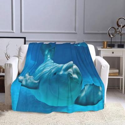 Embracing the Moby Dick Blanket